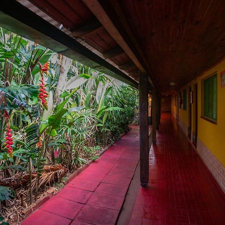 Hosteria Los Helechos Puerto Iguazú Exteriér fotografie