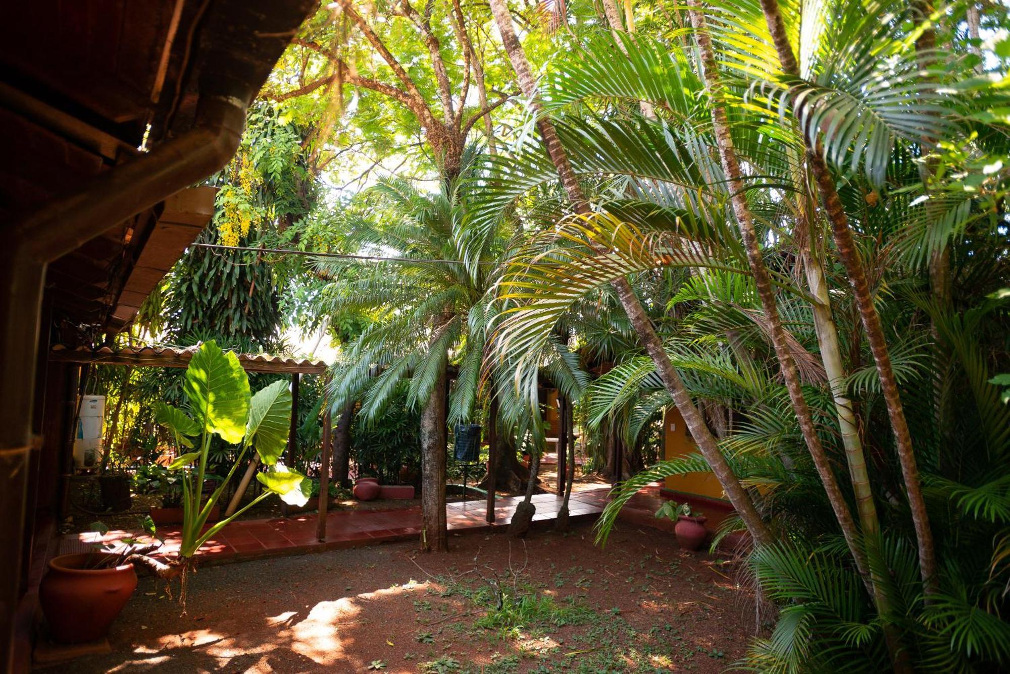 Hosteria Los Helechos Puerto Iguazú Exteriér fotografie